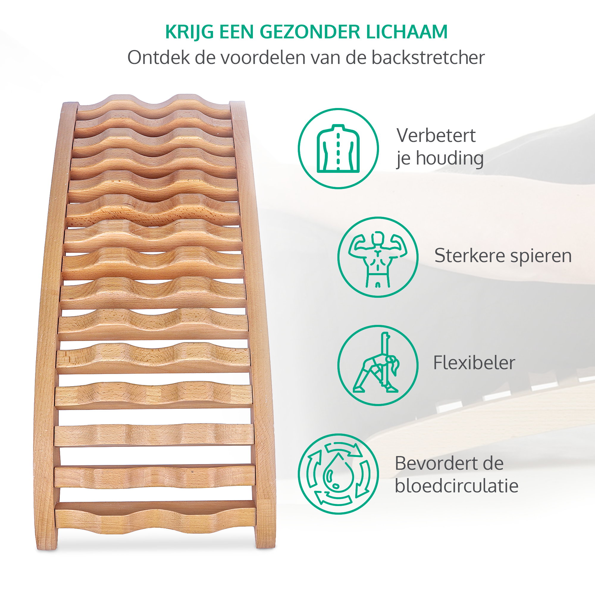 Dreaver Backstretcher - Beech wood
